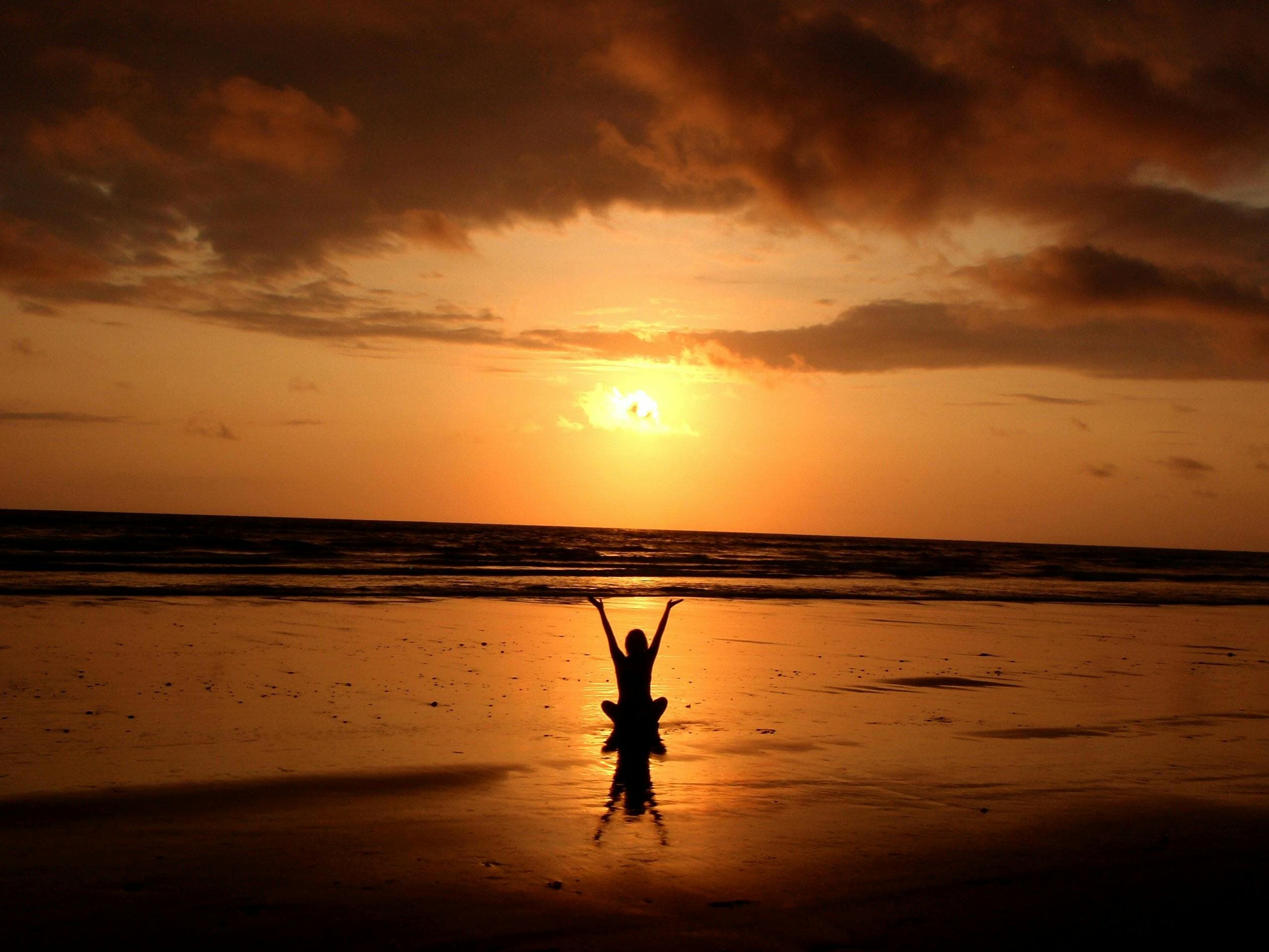 Yoga Sangam: Uniting Yogic Traditions, Communities, and Consciousness