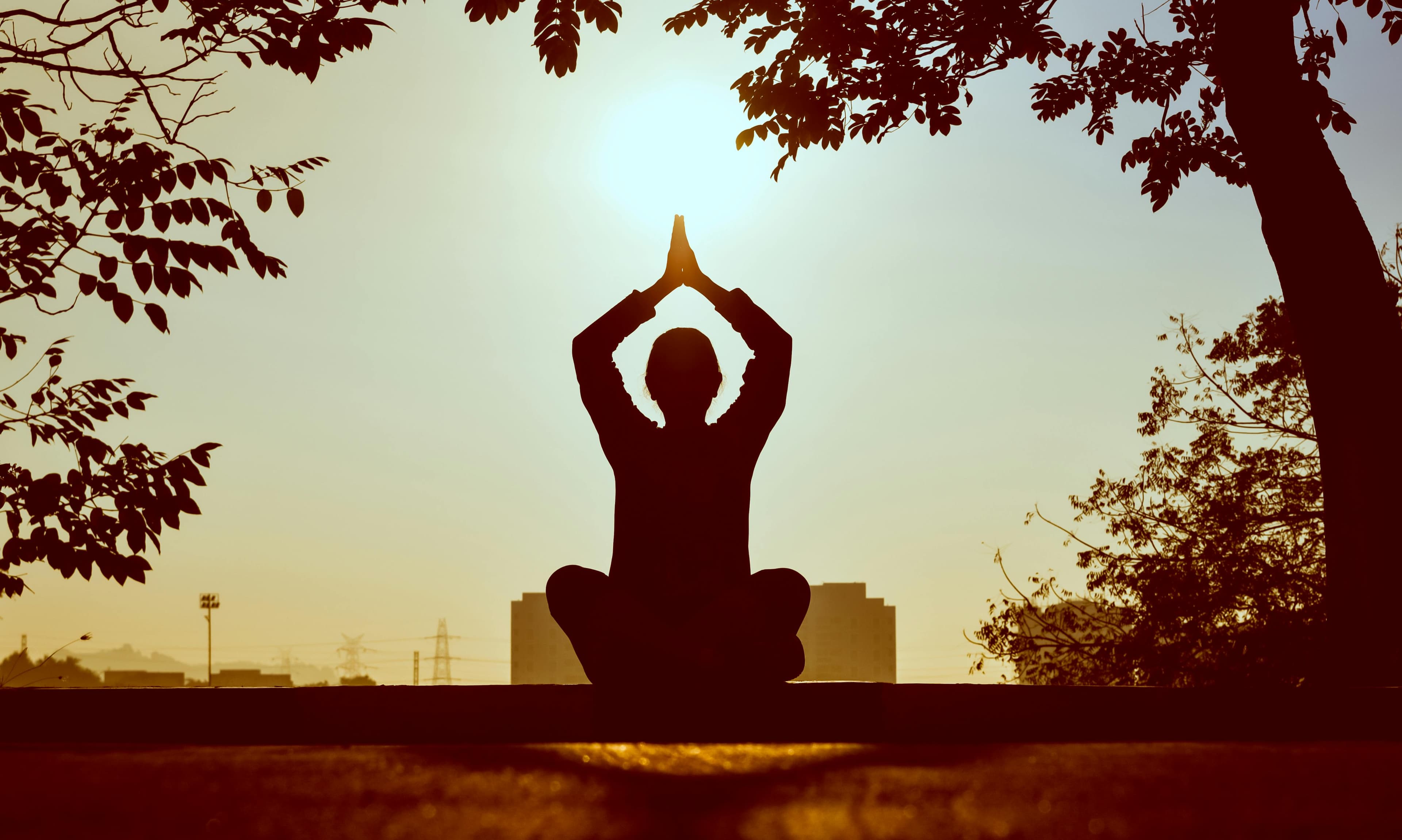 International Yoga Day: Origins, Importance, and Global Impact